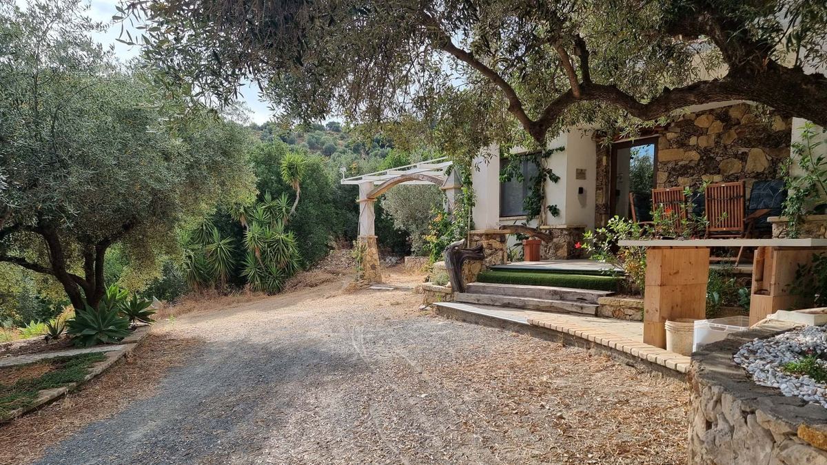 Eingang des Sa-Medada-Hauses unter altem Olivenbaum: Projekt Eden, Jerzu, Sardinien