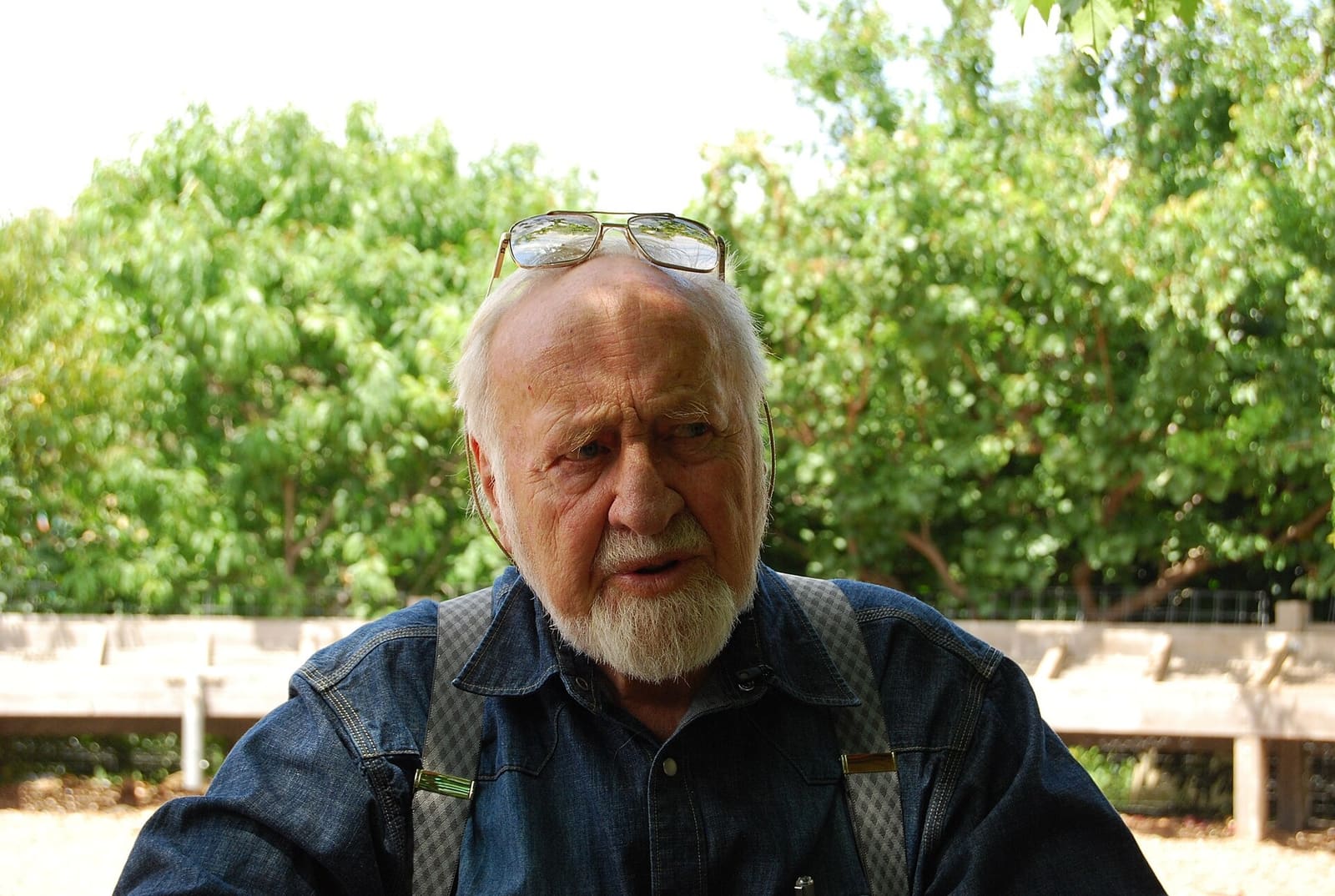 Bill Mollison outdoors in 2008, seated in front of trees, wearing a denim shirt with glasses pushed up on his head.